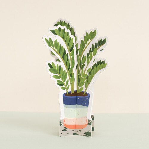 ZZ Paper Plant